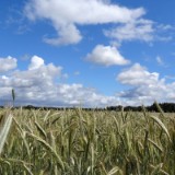 1406F 025 Grenzroute DE-DK